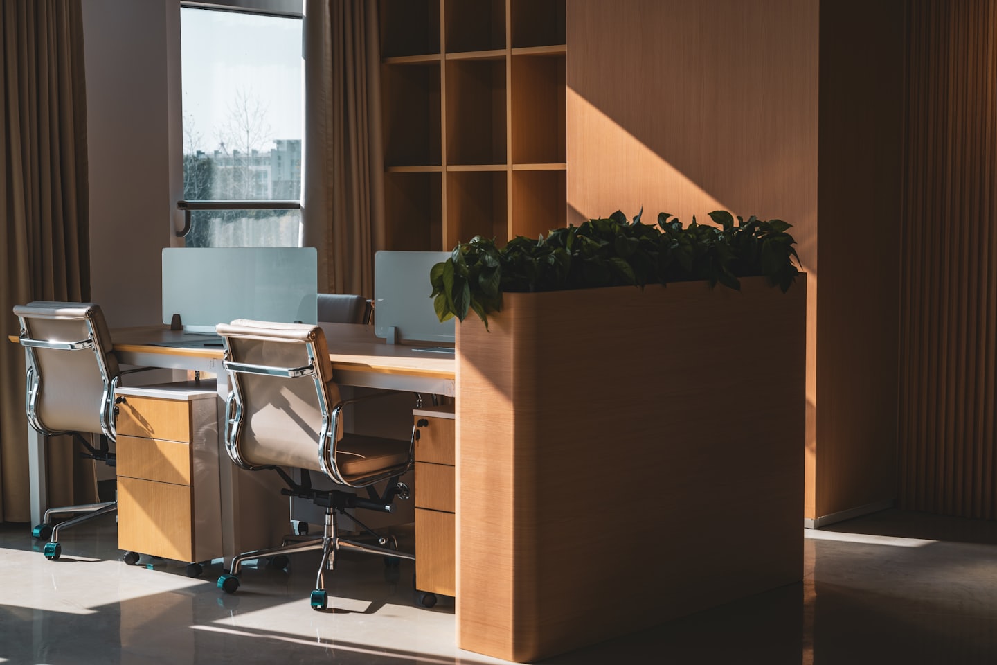 Empty modern office with desks and plant bathed in sunlight.